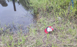 Idoso morreu após ataque de abelhas na zona rural de Araguaína