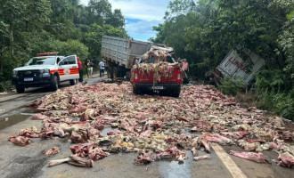 Restos de carne são espalhados pela pista após acidente na BR-010