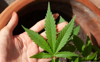 A definição de regras atende a uma decisão do Superior Tribunal de Justiça (STJ)